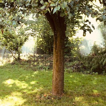 Normandia Parfum De Pommes Et D'Histoire Vila Nonant Exterior foto